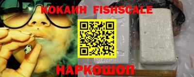 дурь Сланцы