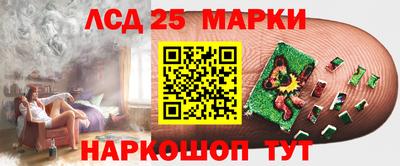 дурь Сланцы