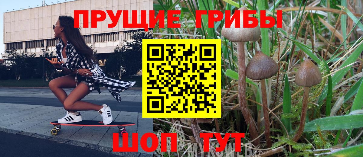 Обь  Псилоцибиновые грибы Psilocybe  Псилоцибиновые грибы мухоморы  Вход с VPN 